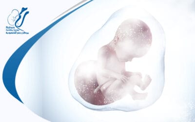 قفزة علمية تاريخية رفعت فرص الحمل بعد نقل الأجنة المجمدة | مركز رحم للخصوبة
