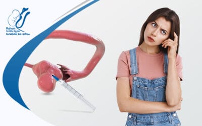 تنشيط المبايض للحمل وتحديد نوع الجنين.. تقنيتان ساهمتا في تحقيق حلم الإنجاب