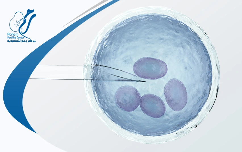 ivf process